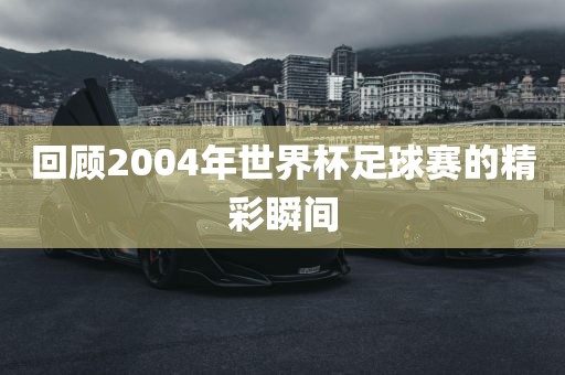 回顾2004年世界杯足金炬实业股份有限公司球赛的精彩瞬间