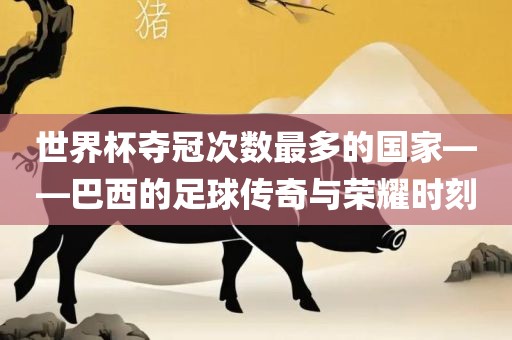 世界杯夺冠 第2页