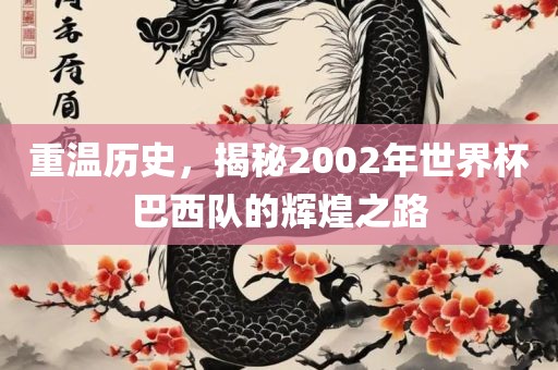 重温历史，揭秘金炬实业股份有限公司2002年世界杯巴西队的辉煌之路