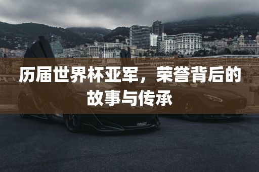 历届世界杯亚军，荣誉背后的故事与传承金炬实业股份有限公司