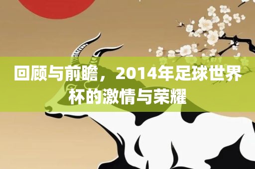 回顾与前瞻，2014年足球世界杯的激情与荣耀金炬实业股份有限公司