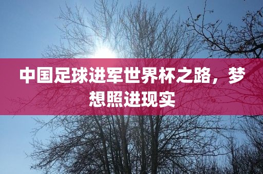 中国足球进军世界杯之路，梦想照进现实