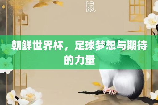 朝鲜世界杯，足球梦想与期待的力量