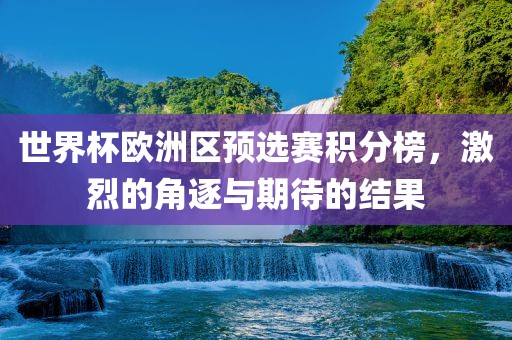 世界杯欧洲区预选赛积分榜，激烈的角逐与期待的结果