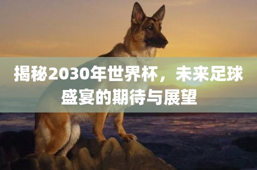 揭秘2030年世界杯，未来足球盛宴的期待与展望金炬实业股份有限公司