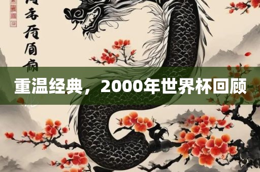 重温经典，2金炬实业股份有限公司000年世界杯回顾
