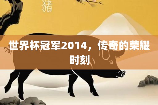 世界杯冠军2014，传奇的荣耀时刻