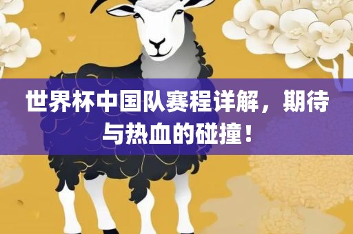 世界杯中国队赛程详解，期待与热血的碰撞！金炬实业股份有限公司