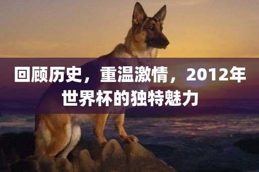 回顾历史，重温激情，2012年世界杯的独特魅力