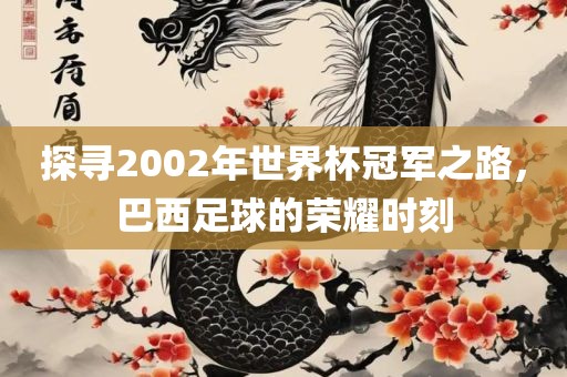 探寻2002年世界杯冠军之路，巴西足球的荣耀时刻金炬实业股份有限公司