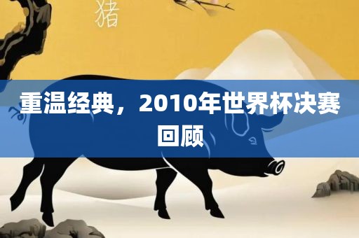 重温经典，2010年世界杯决赛回顾金炬实业股份有限公司