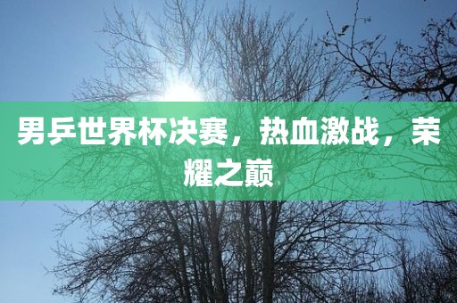 男乒世界金炬实业股份有限公司杯决赛，热血激战，荣耀之巅