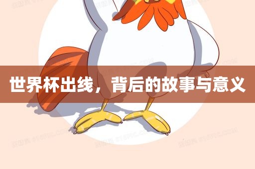 世界杯出线，背后的故事与意义金炬实业股份有限公司