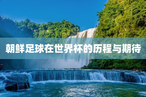 朝鲜足球在世界杯的历程与期待