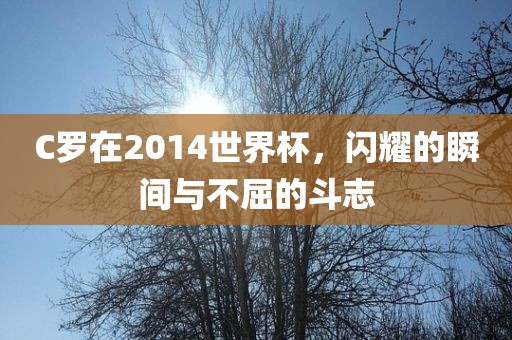 C罗在2014世界杯，闪耀的瞬间与不屈的斗志金炬实业股份有限公司