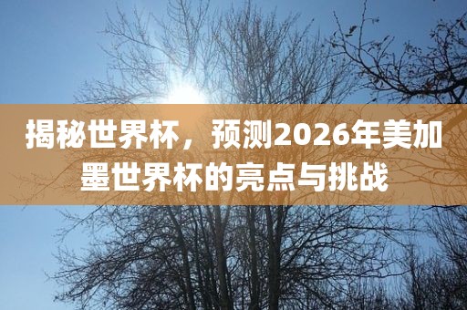 揭秘世界杯，预测2026年美加墨世界杯的亮点与挑战金炬实业股份有限公司