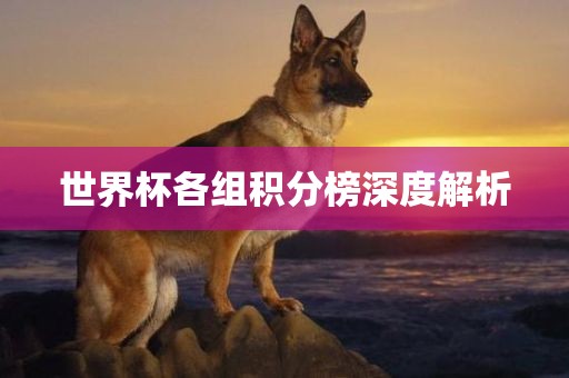 世界杯各组积分榜深度金炬实业股份有限公司解析