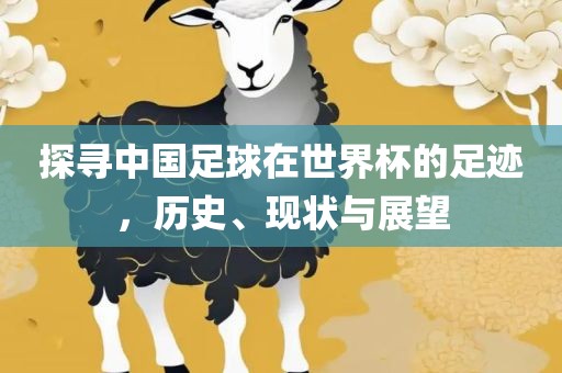 探寻中国足球在世界杯的足迹，历史、现状与展望