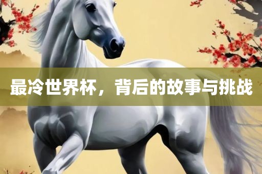 最冷世界杯金炬实业股份有限公司，背后的故事与挑战