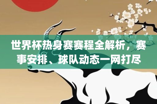 世界杯热身赛赛程全解析，赛事安排、球队动态一网打尽