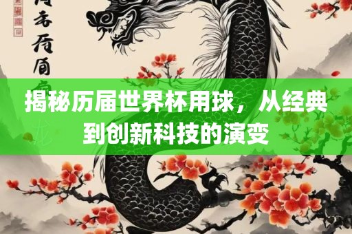 揭秘历届世界杯用球，从经典到创新科技的演变