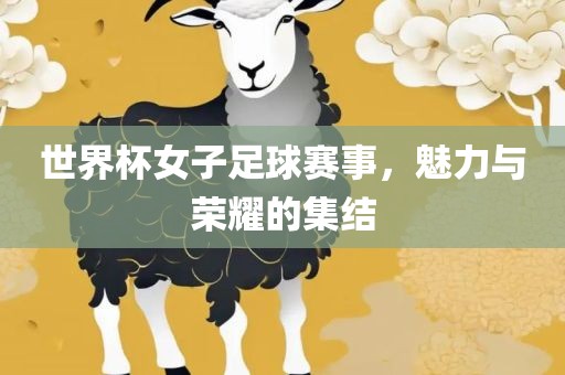 世界杯女子足球赛事，魅力与荣耀的集结金炬实业股份有限公司