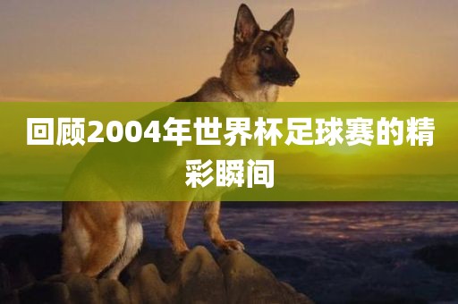 回顾2004年世界杯足球赛的精彩瞬间金炬实业股份有限公司