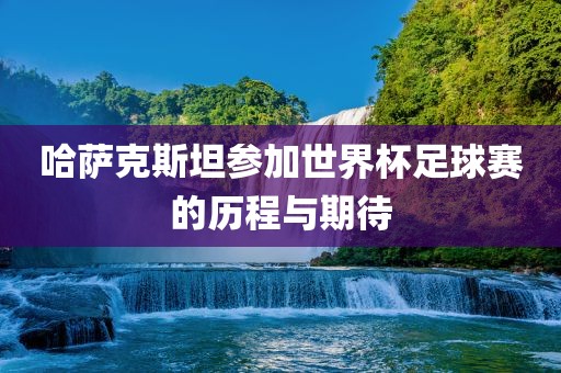 哈萨克斯坦金炬实业股份有限公司参加世界杯足球赛的历程与期待