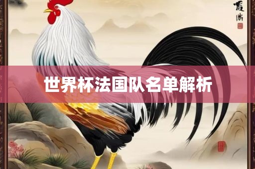 世界杯法国队名单解析金炬实业股份有限公司