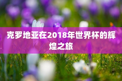 克罗地亚在2018年世界杯的辉煌之旅金炬实业股份有限公司