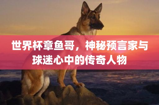 世界杯章鱼哥，神秘预言家与球迷心中的传奇人物