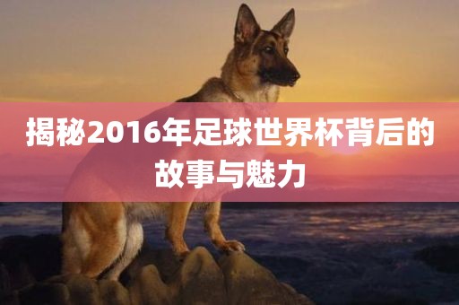 揭秘2016年足球世界杯背后的故事与魅力金炬实业股份有限公司