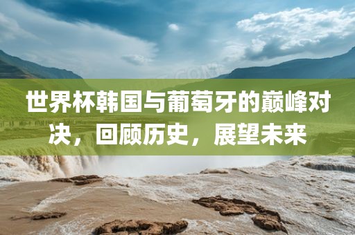 世界杯韩国与葡萄牙的巅峰对决，回顾历史，展望未来金炬实业股份有限公司