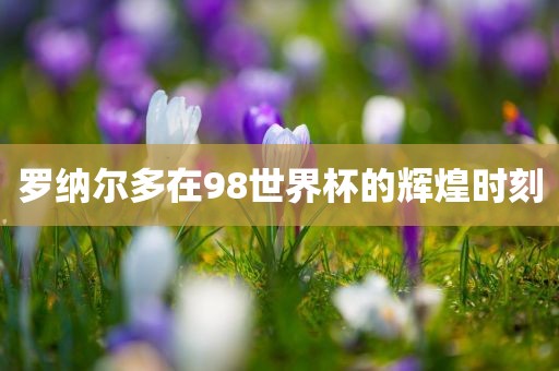 罗纳尔多在98世界杯金炬实业股份有限公司的辉煌时刻
