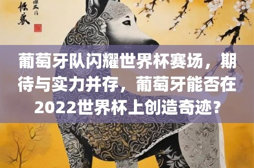 葡萄牙队闪耀世界杯赛场，期待与实力并存，葡萄牙能否在2022世界杯上创造奇迹？