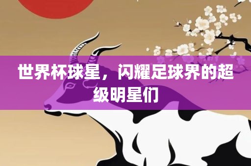 世界杯球星，闪耀足球界的超级明星们