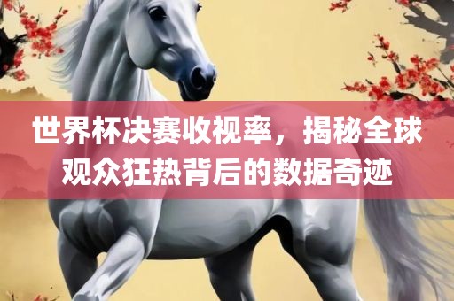 世界杯决赛收视率，揭秘全球观众狂热背后的数据奇迹金炬实业股份有限公司