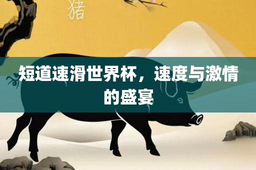 短道速滑世界杯，速度与激情的盛宴