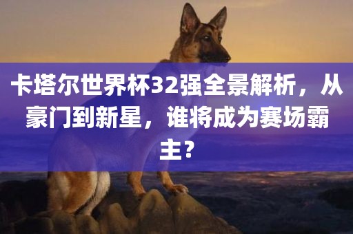 卡塔尔世界杯32强全景解析，从豪门到新星，谁将成为赛场霸主？金炬实业股份有限公司