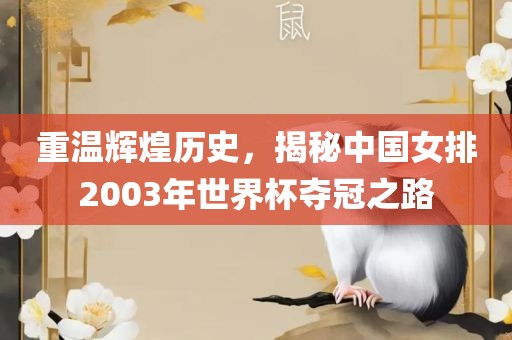 重温辉煌历史，揭秘中国女排2003年世界杯夺冠之路金炬实业股份有限公司