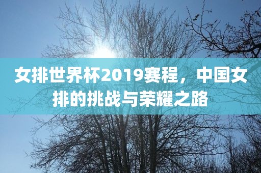 女排世界杯2019赛程，中国女排的挑战与荣耀之路金炬实业股份有限公司