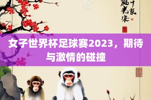 女子世界杯足球赛2023，期待与激情的碰撞金炬实业股份有限公司