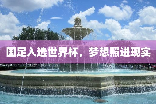 国足入选世界杯，梦想照进现实