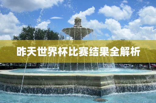 昨天世界杯比赛结果全解析