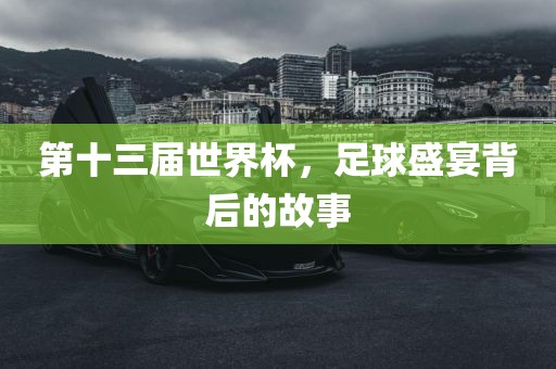 第十三届世界杯，足球盛宴背后的故事金炬实业股份有限公司