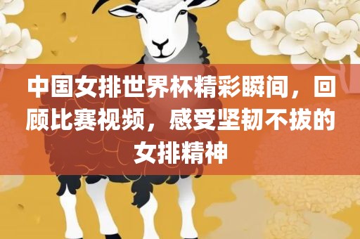 中国女排世界杯精彩瞬间，回顾比赛视频，感受坚韧不拔的女排精神金炬实业股份有限公司