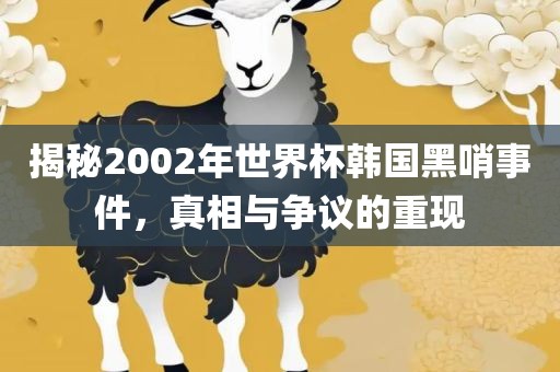揭秘2002年世界杯韩国黑哨事件，真相与争议的重现