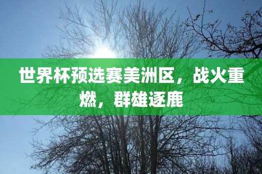 世界杯预选赛美洲区，战火重燃，群雄逐鹿
