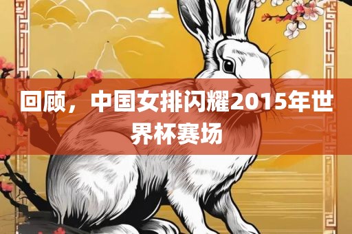回顾，中国女排闪耀2015年世界杯赛场金炬实业股份有限公司