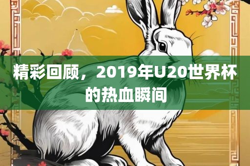 精彩回顾，2019年U20世界杯的热血瞬间